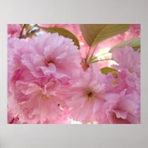 HEALING TOUCH ART Gifts PINK BLOSSOMS Spring
