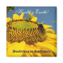 Healthy Earth! magnet Bumblebees on Sunflowers