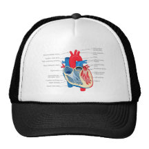 Heart_Anatomy Trucker Hat