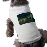 Heart and Soul Nebulae pet clothing
