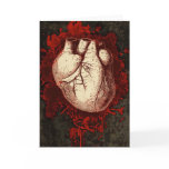 Heart and Spatter cards