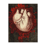 Heart and Spatter postcards