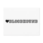 (heart) BLOODHOUND postcards