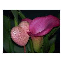 Heart & Calla Lily Postcard