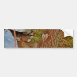 Heart Carved in Tree Bumper Stickers