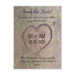 Heart Carved in Tree, Custom Romantic Nature Postcards
