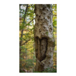 Heart Carved Tree Photographic Print