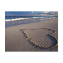 Heart Drawn on the Beach Postcard