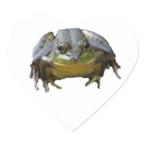 Heart Green Frog Stickers