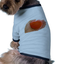 Heart in palm pet clothing