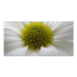 Heart of a Flower Photocard