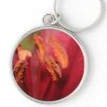 Heart Of A Lily