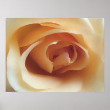Heart of a Rose Art Print Poster