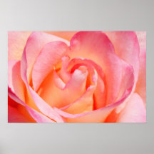 Heart of a Rose Posters