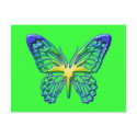 Heart of Gold Butterfly postcards