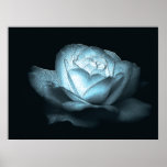 heart of ice rose posters