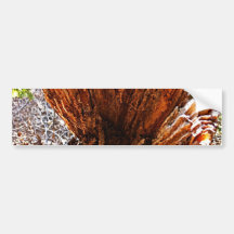 Heart of Nature Bumper Sticker