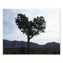 Heart of New Hampshire Photo
