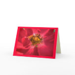 Heart of Rose Birthday cards