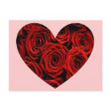 Heart of Roses postcards