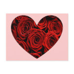Heart of Roses postcards