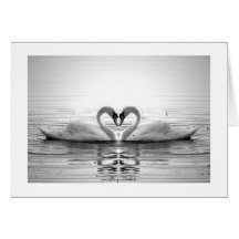 Heart of Swans Card