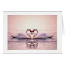 Heart of Swans Greeting Cards