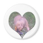 Heart puppy magnet