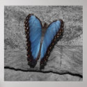 Heart Shaped Butterfly posters