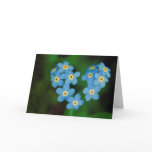 Heart Shaped Forget-me-not Flowers Greeting Cards