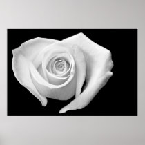 Heart Shaped Rose, Black and White Posters