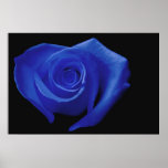 Heart Shaped Rose, Blue Posters