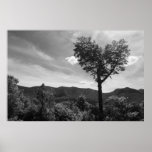 Heart Shaped Tree posters