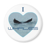 Heart with Whale Tail Photo magnets