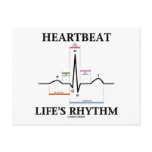 Heartbeat Life's Rhythm (ECG/EKG Heartbeat) postcards