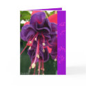 Heart's Desire Fuchsia Valentine cards