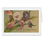 Hearty Congratulations Flowers Cards