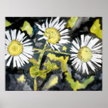 heath aster wildflowers flower painting print art