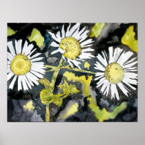 heath aster wildflowers flower painting print art