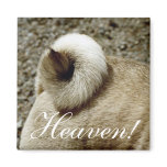 Heaven! Magnet