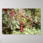 Heavenly Bamboo Poster