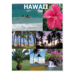 Heavenly Hawaii by Khoncepts Postcard