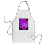 Heavenly pink rose and meaning aprons