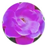 Heavenly pink rose and meaning round stickers