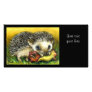 Hedgehog and apple