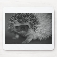 Hedgehog Baby in Black and White Mouse Pads