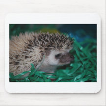 Hedgehog Baby in Easter Grass Mousepad