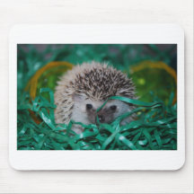 Hedgehog Baby in Easter Grass Mousepads