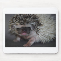 Hedgehog Baby Mouse Pad