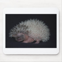 Hedgehog Baby Mousepads